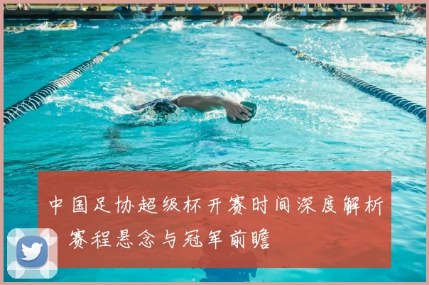 中国足协超级杯开赛时间深度解析:赛程悬念与冠军前瞻